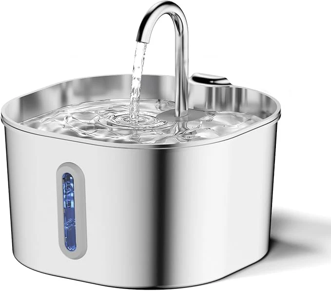 New Arrival at PetsPark